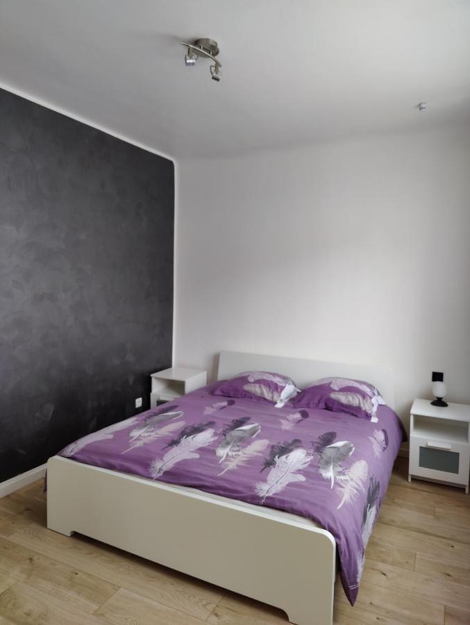 Le Purple, Appartement De Standing En Hypercentre Sarreguemines Exteriér fotografie